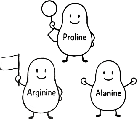 illustration of Amino Acid