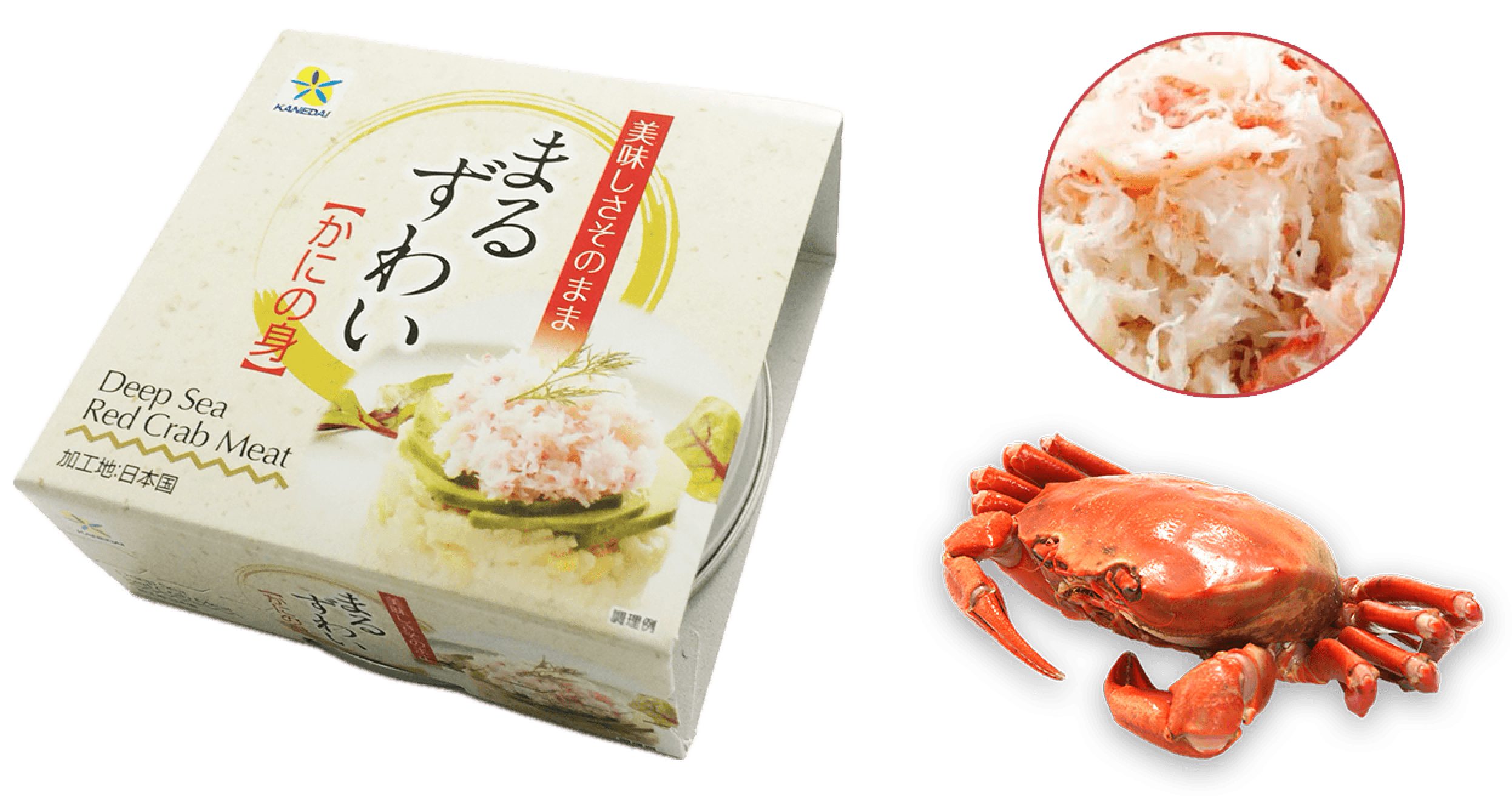 Deep Sea Red Crab