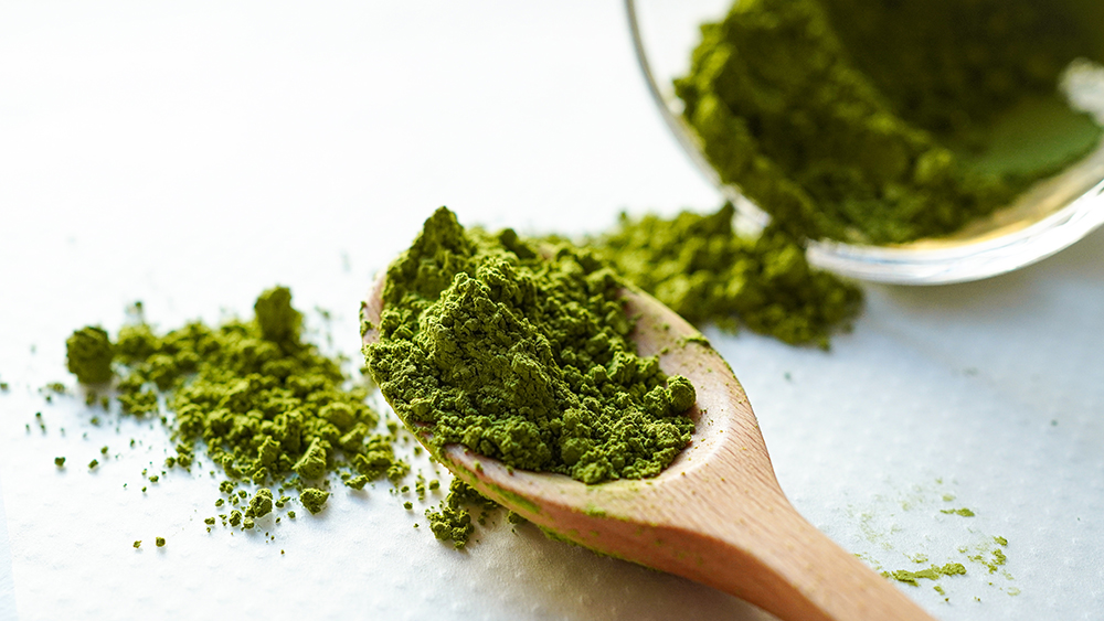 Matcha style Green Tea Powder